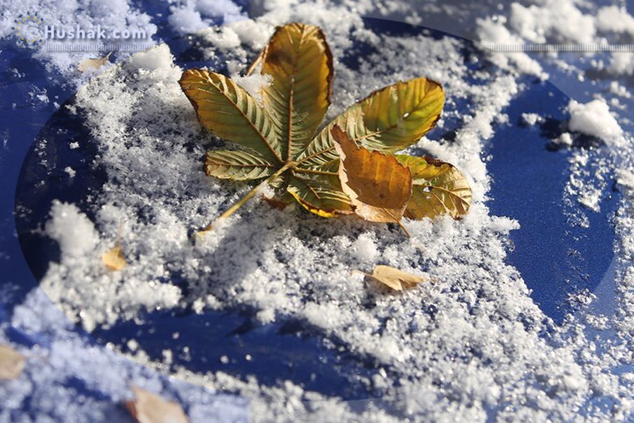 Гороскоп․ Прогноз на 12.12 - 18.12