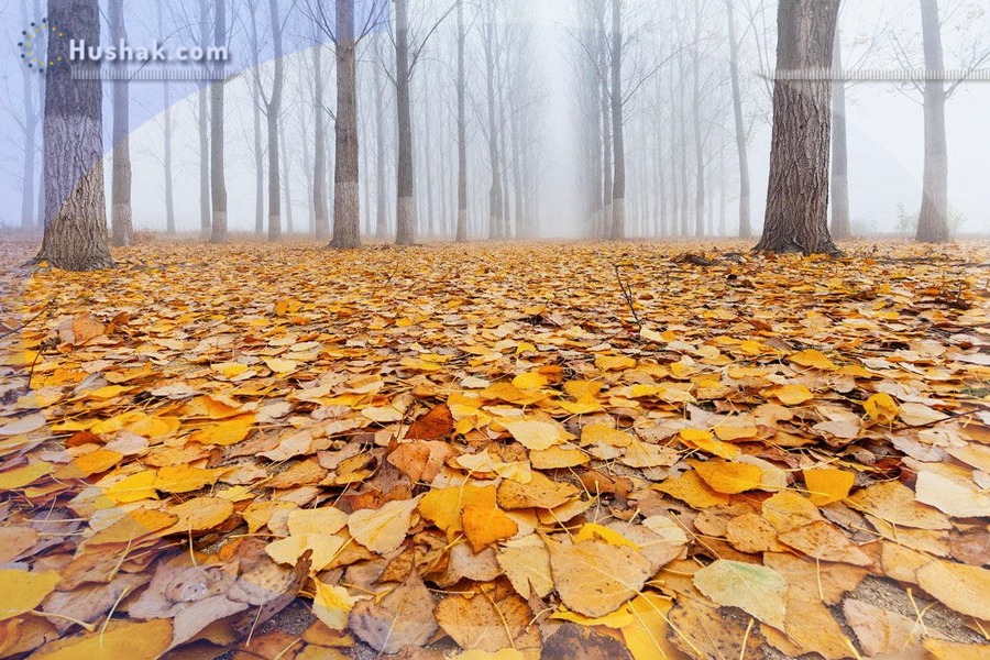 Гороскоп․ Прогноз на 21.11 - 27.11