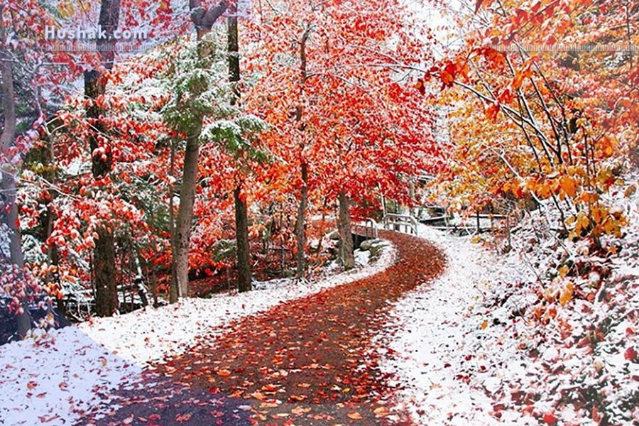 Гороскоп․ Прогноз на 05.12 - 11.12