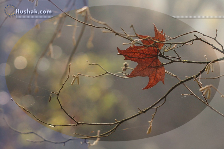 Гороскоп․ Прогноз на 28.11 - 04.12