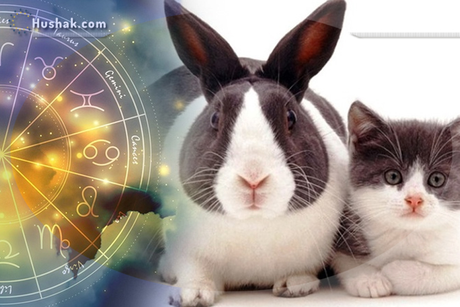 Прогноз для всех знаков зодиака на 2023 год