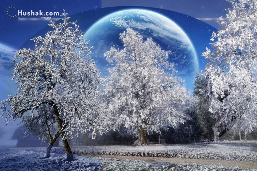 Гороскоп на декабря. Прогноз на 25 декабря 2022 года