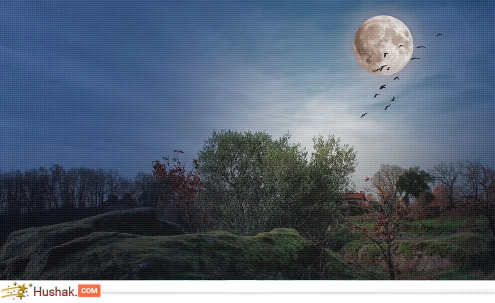 Лунно-солнечный прогноз на 13 сентября