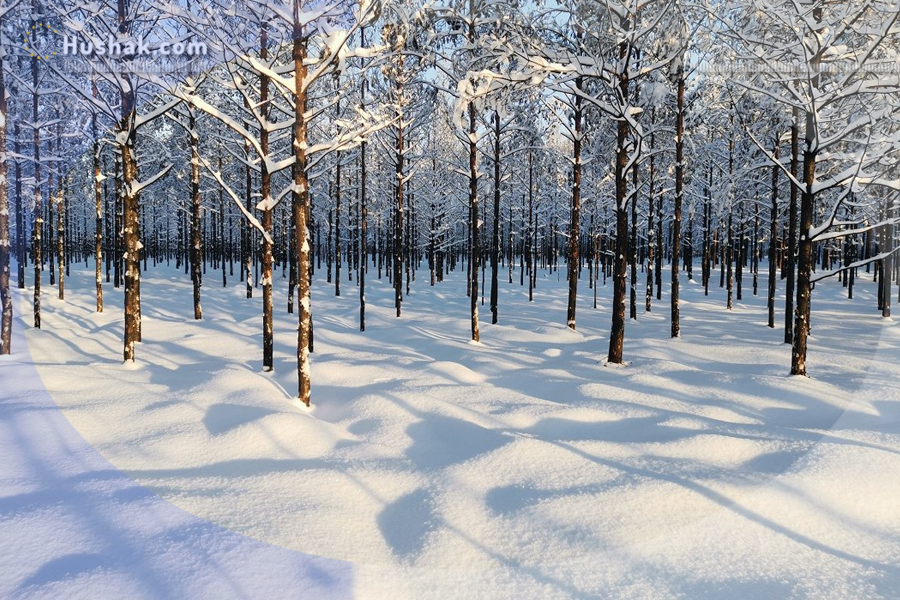 Гороскоп․ Прогноз на 09.01 - 15.01