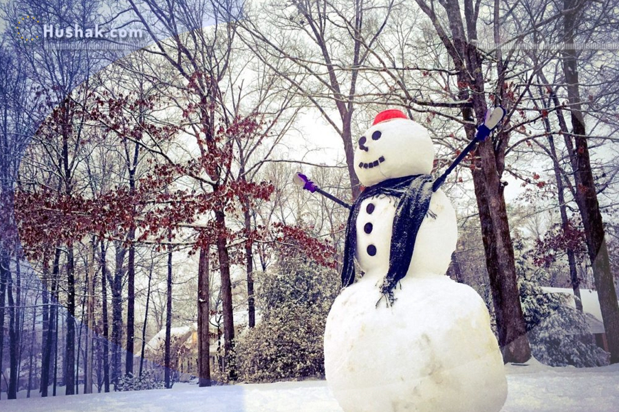 Гороскоп․ Прогноз на 23.01 - 29.01