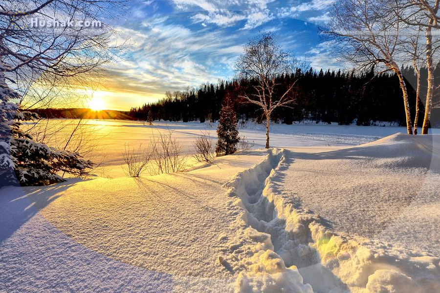 Гороскоп․ Прогноз на 06.02 - 12.02