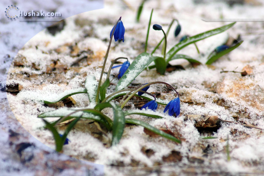 Гороскоп․ Прогноз на 13.03 - 19.03