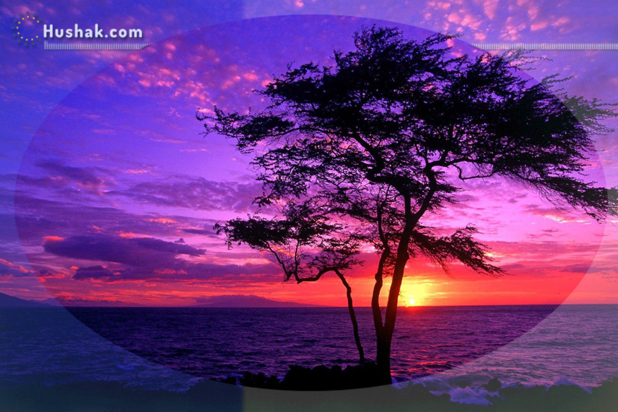 Лунно-солнечный прогноз на 29 марта 2023 года