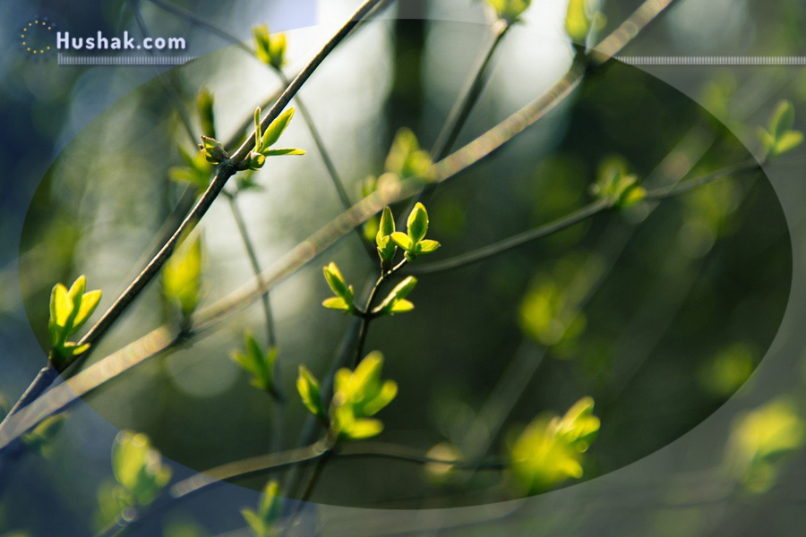 Гороскоп․ Прогноз на 20.03 - 26.03