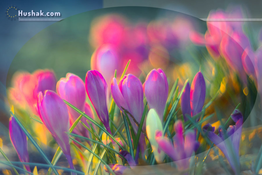 Гороскоп․ Прогноз на 27.03 - 02.04