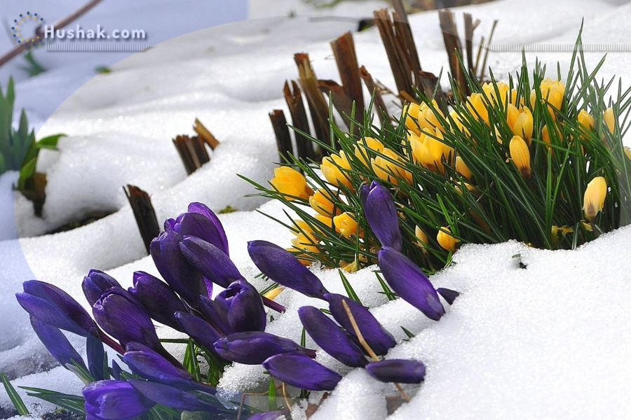 Гороскоп на месяц. Прогноз марта 2023 года