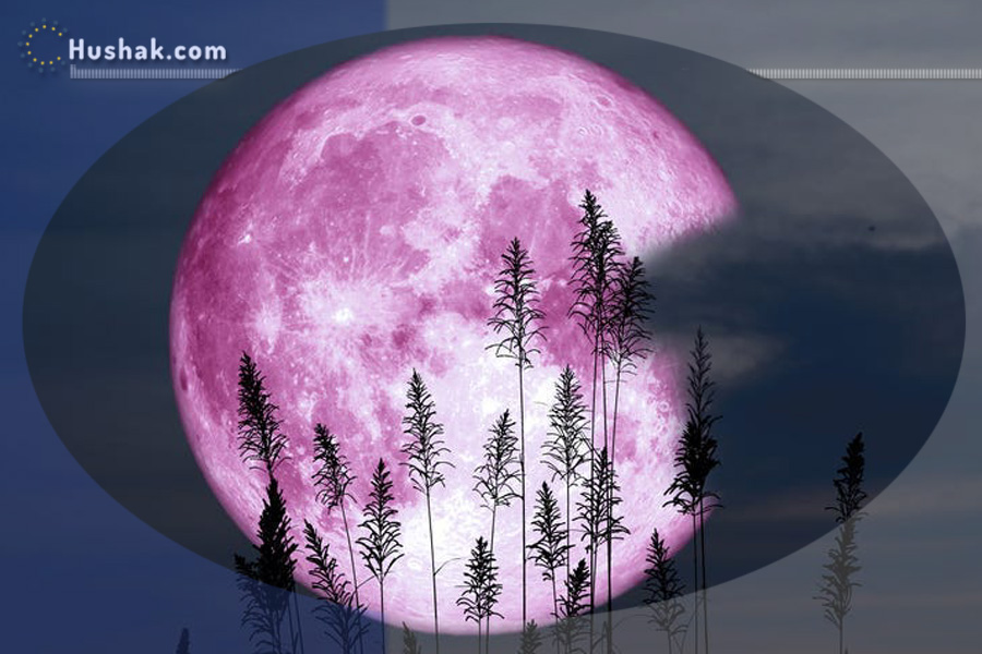 Лунно-солнечный прогноз на 6 марта 2023 года