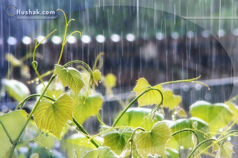 Гороскоп․ Прогноз на 08.05 - 14.05