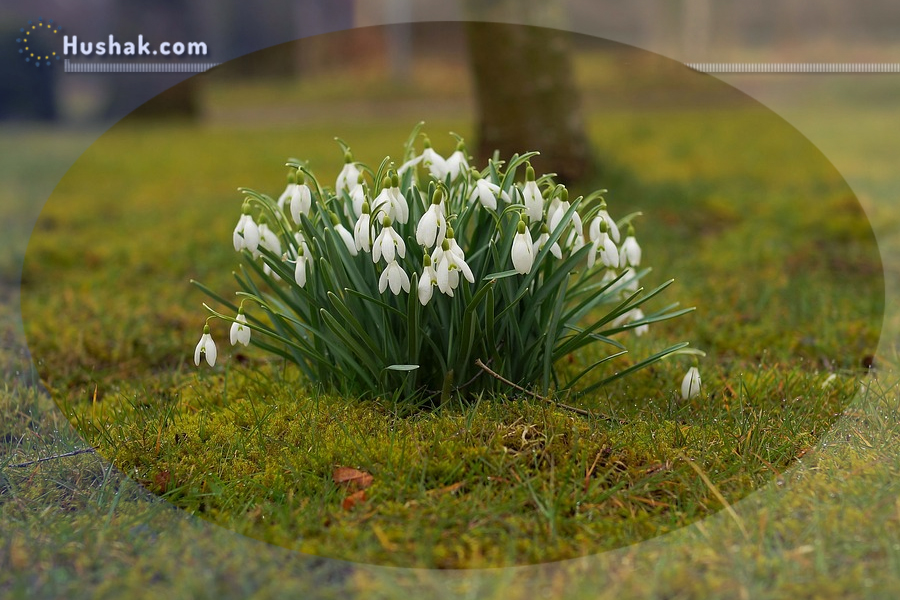 Гороскоп․ Прогноз на 03.04 - 09.04