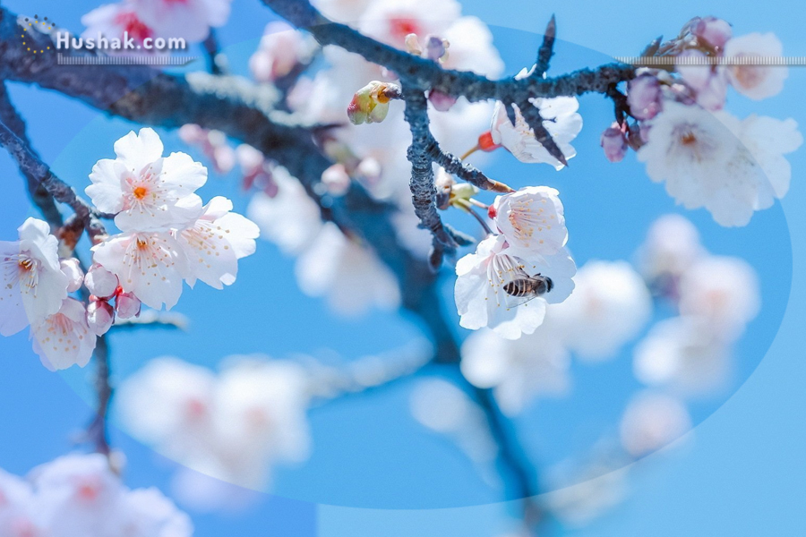 Гороскоп․ Прогноз на 17.04 - 23.04