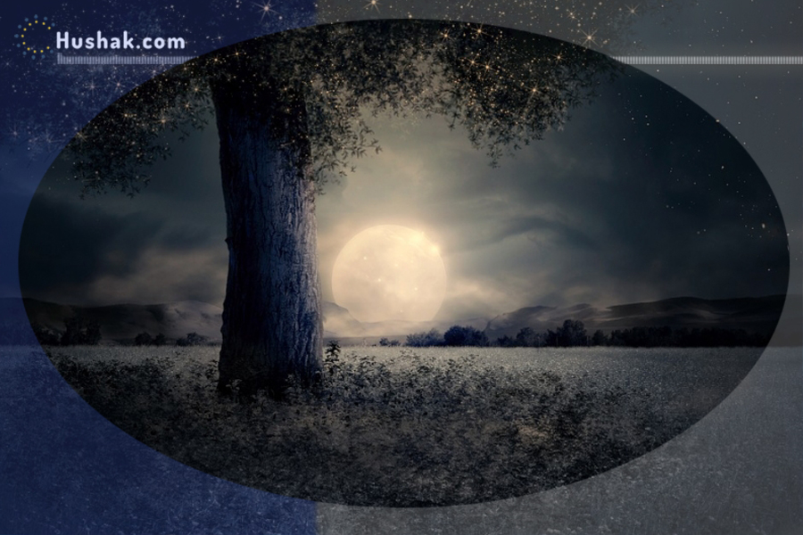 Лунно-солнечный прогноз на 25 мая 2023 года