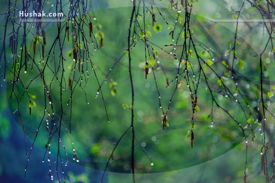 Гороскоп․ Прогноз на 29.05 - 04.06