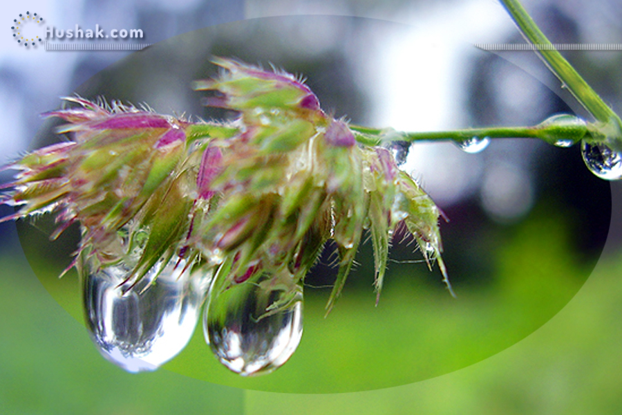 Гороскоп․ Прогноз на 12.06 - 18.06