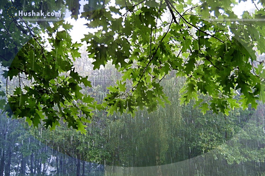 Гороскоп․ Прогноз на 19.06 - 25.06