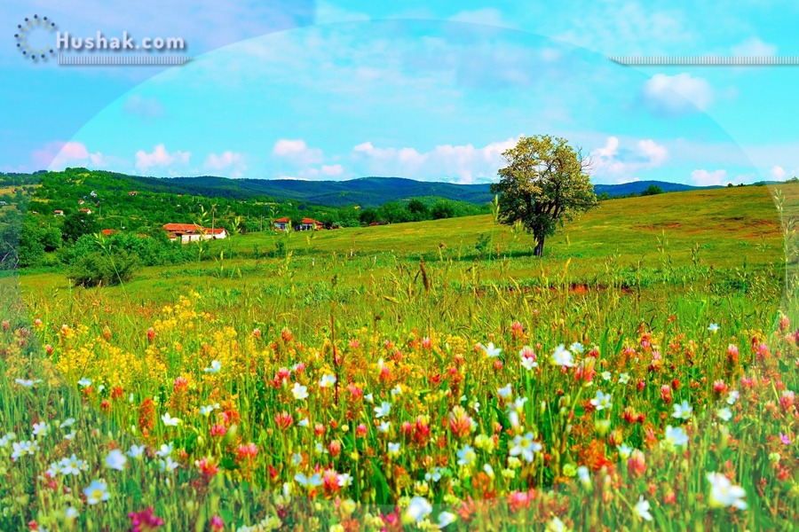 Гороскоп․ Прогноз на 24.07 - 30.07