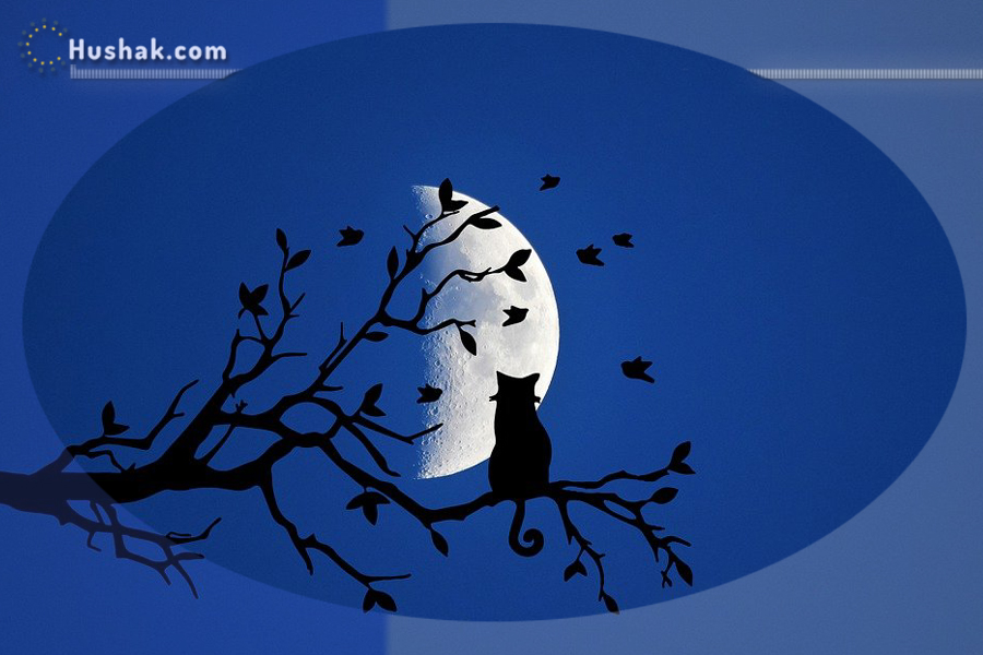 Лунно-солнечный прогноз на 1 сентября 2023 года