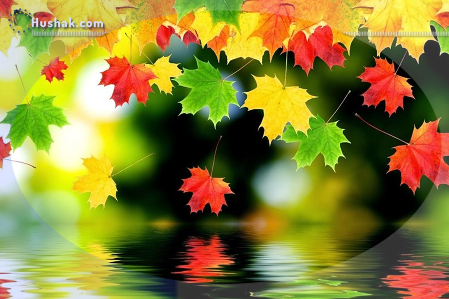 Гороскоп․ Прогноз на 11.09 - 17.09