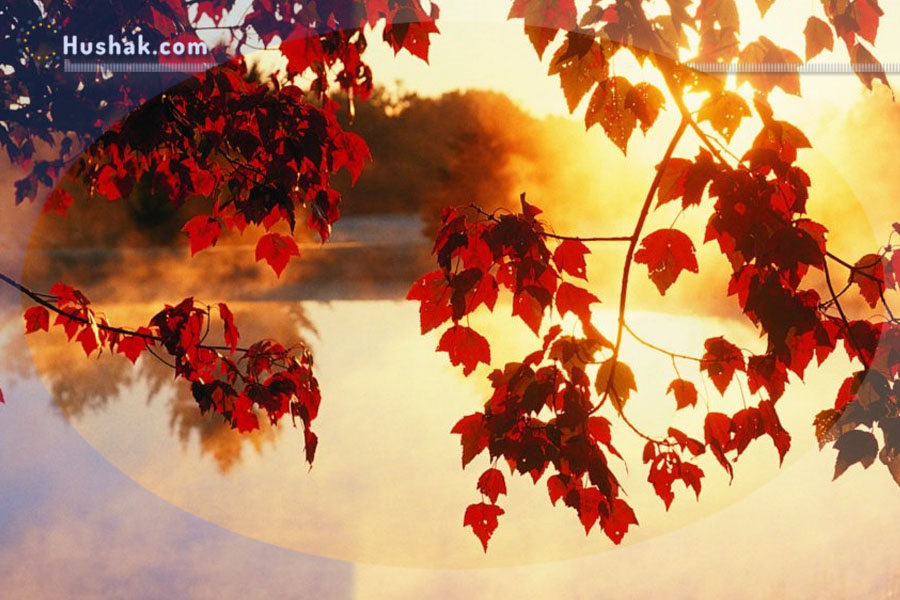 Гороскоп․ Прогноз на 06.11 - 12.11