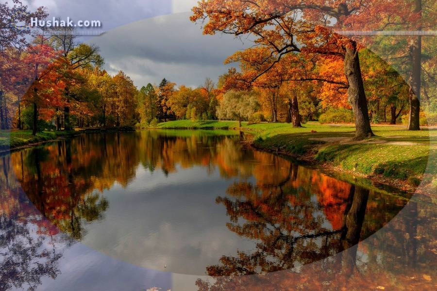 Гороскоп на месяц. Прогноз октября 2023 года