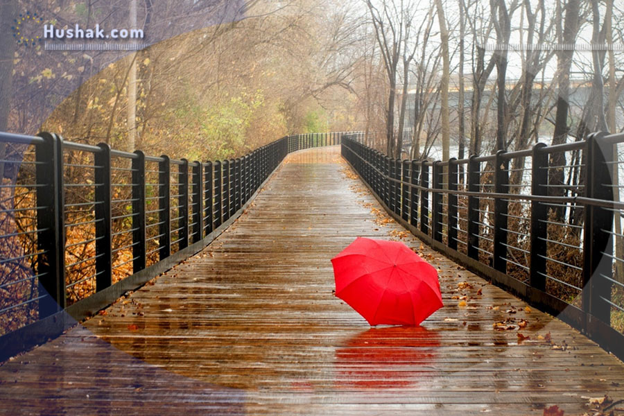 Гороскоп на месяц. Прогноз ноября 2023 года