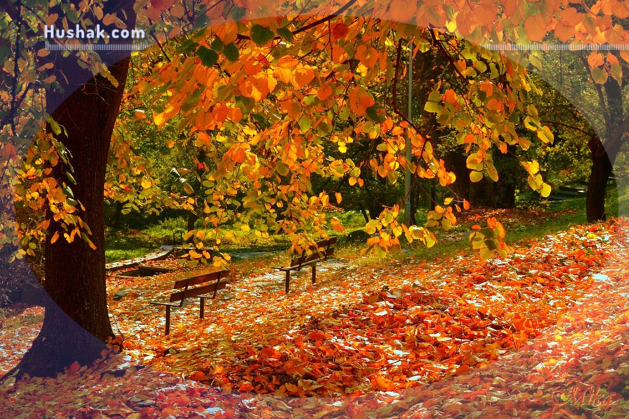 Гороскоп․ Прогноз на 30.10 - 05.11