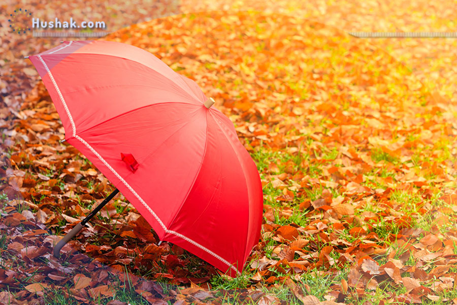 Гороскоп․ Прогноз на 16.10 - 22.10