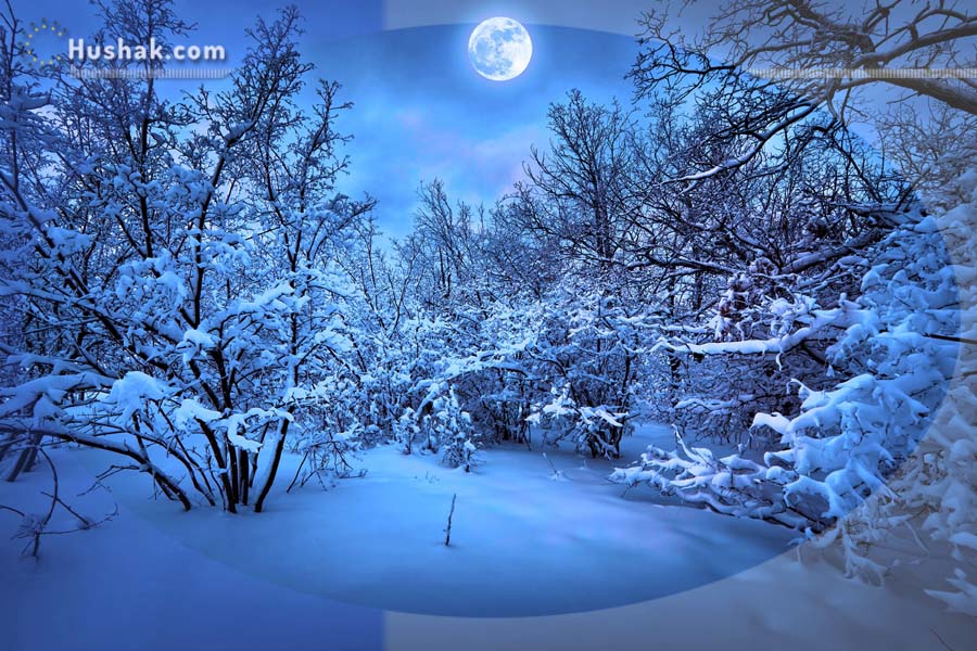 Лунно-солнечный прогноз на 25 января 2024 года