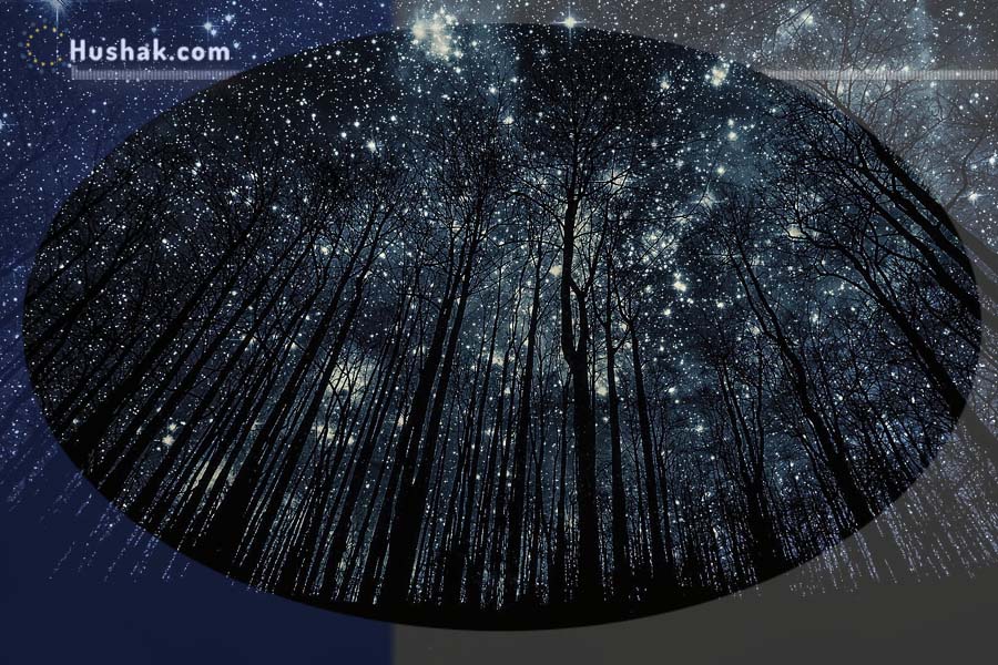 Лунно-солнечный прогноз на 17 января 2024 года