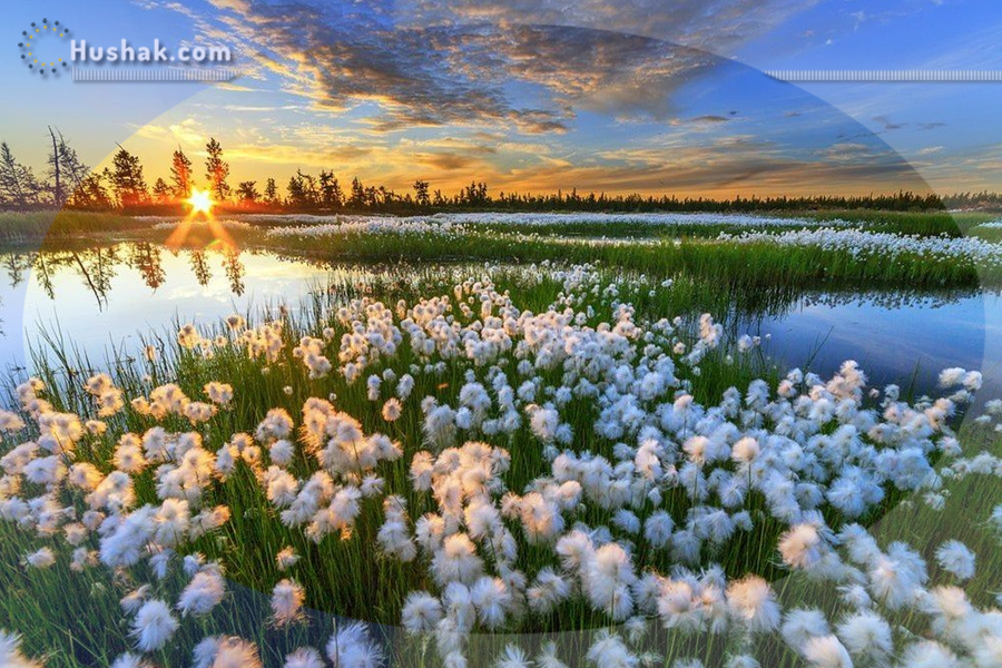 Гороскоп․ Прогноз на 11.03 - 17.03