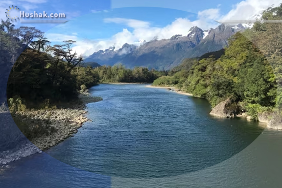 Международный день рек