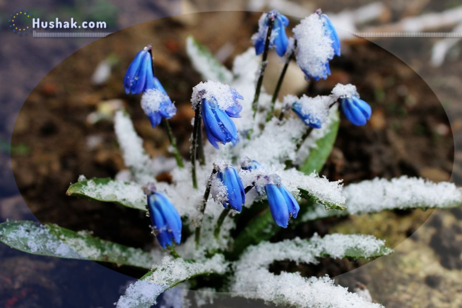 Гороскоп․ Прогноз на 04.03 - 10.03