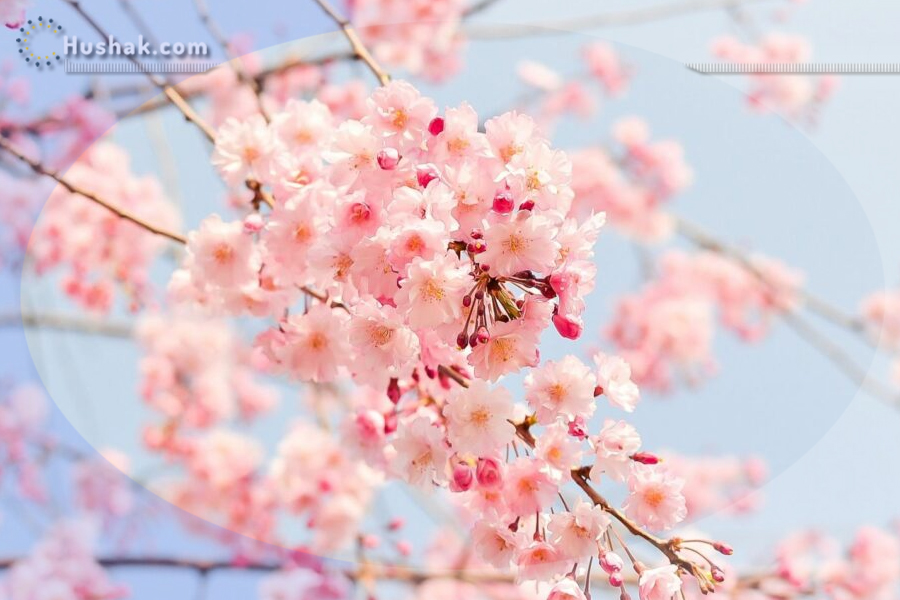 Гороскоп․ Прогноз на 01.04 - 07.04