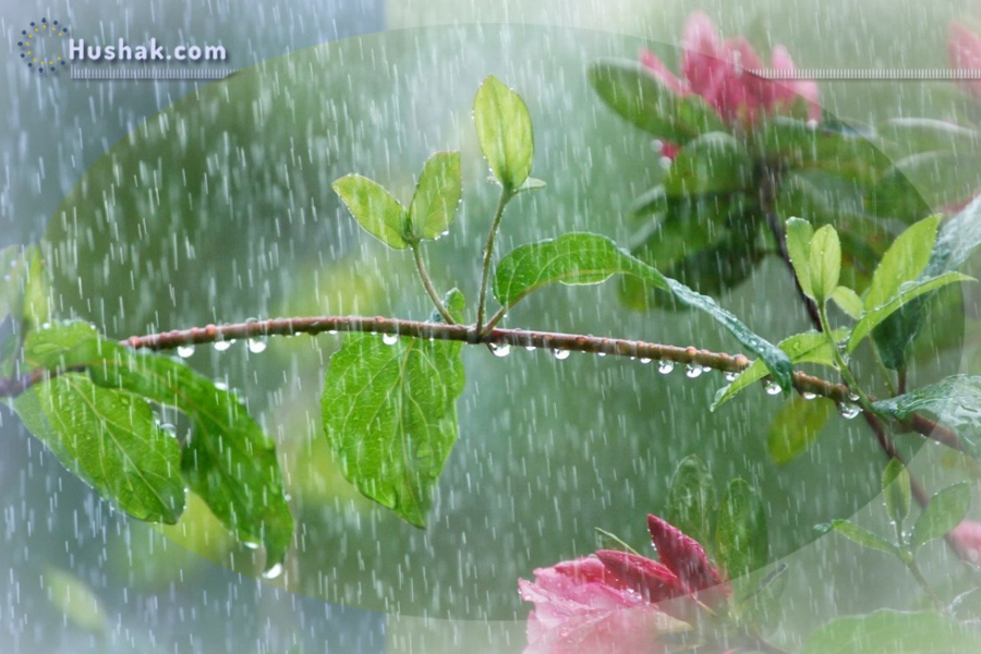 Гороскоп․ Прогноз на 06.05 - 12.05