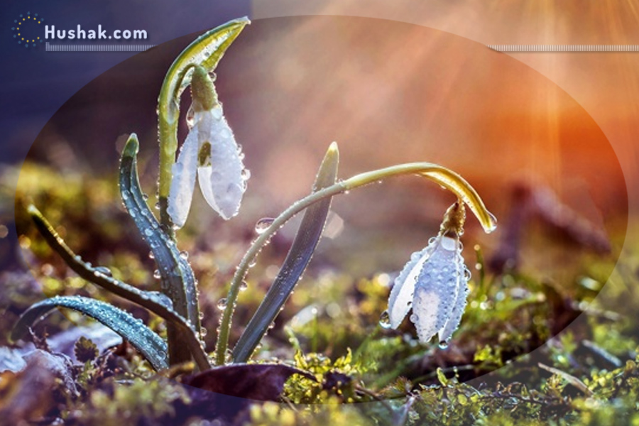 Гороскоп․ Прогноз на 08.04 - 14.04