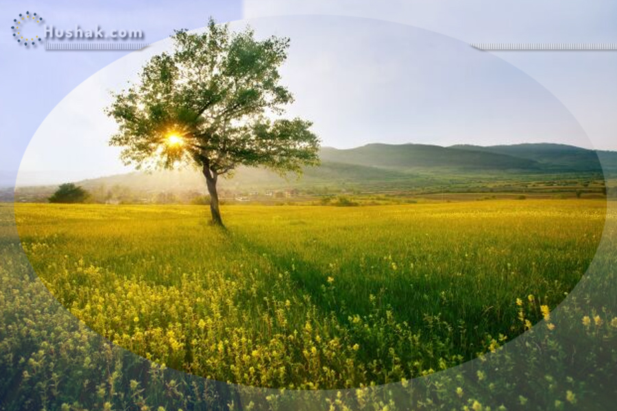 Гороскоп на месяц. Прогноз апреля 2024 года