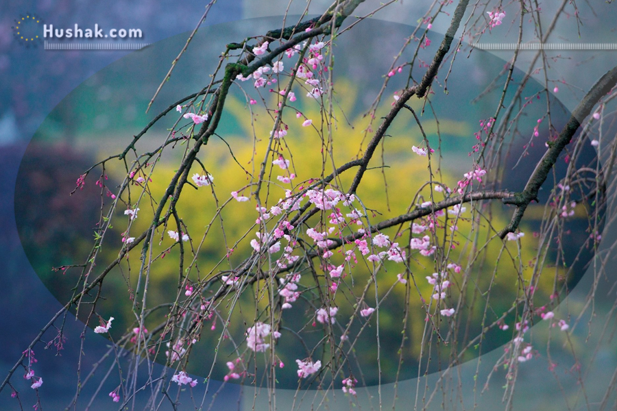 Гороскоп․ Прогноз на 20.05 - 26.05