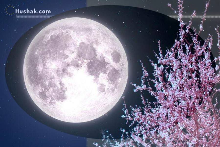 Лунно-солнечный прогноз на 16 мая 2024 года