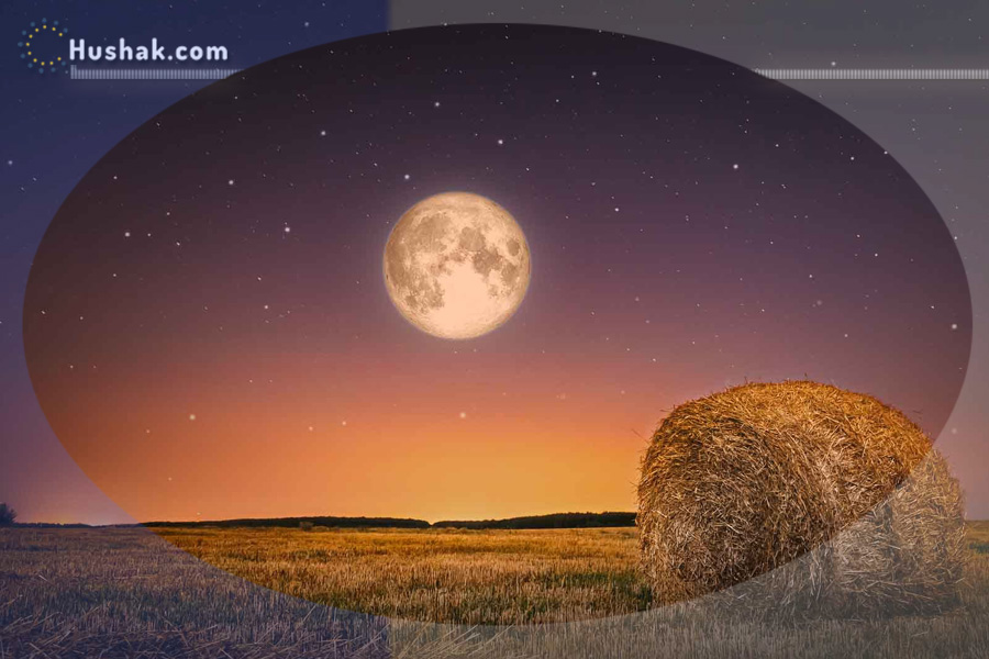 Лунно-солнечный прогноз на 13 августа 2024 года