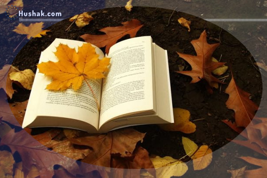 Гороскоп․ Прогноз на 18.11 - 24.11