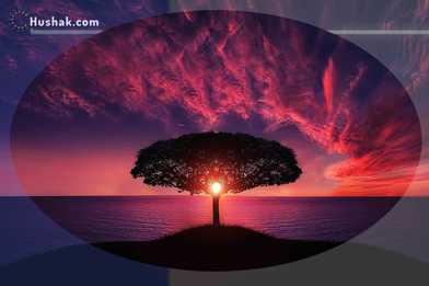 Лунно-солнечный прогноз на 8 мая 2025 года