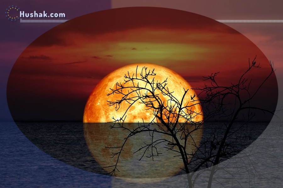 Лунно-солнечный прогноз на 16 июля 2025 года