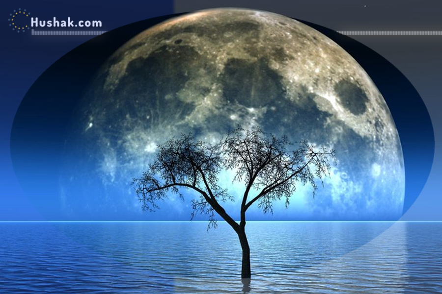 Лунно-солнечный прогноз на 27 августа 2025 года