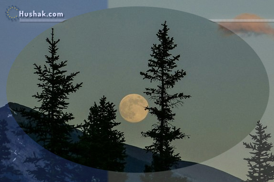 Лунно-солнечный прогноз на 29 ноября 2025 года