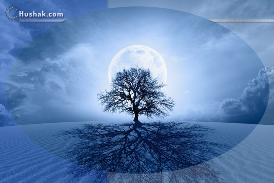 Лунно-солнечный прогноз на 4 января 2026 года