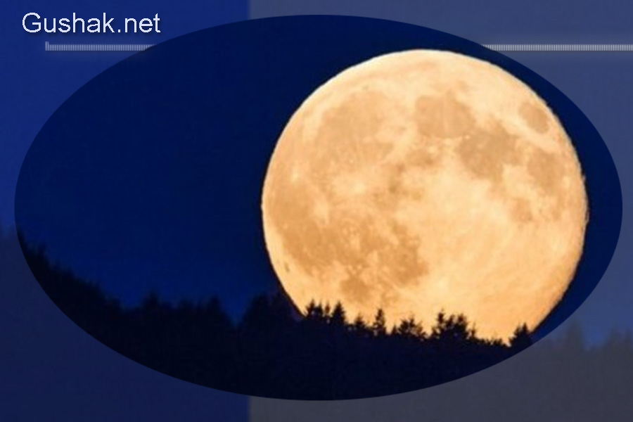 Лунно-солнечный прогноз на 5 марта 2026 года